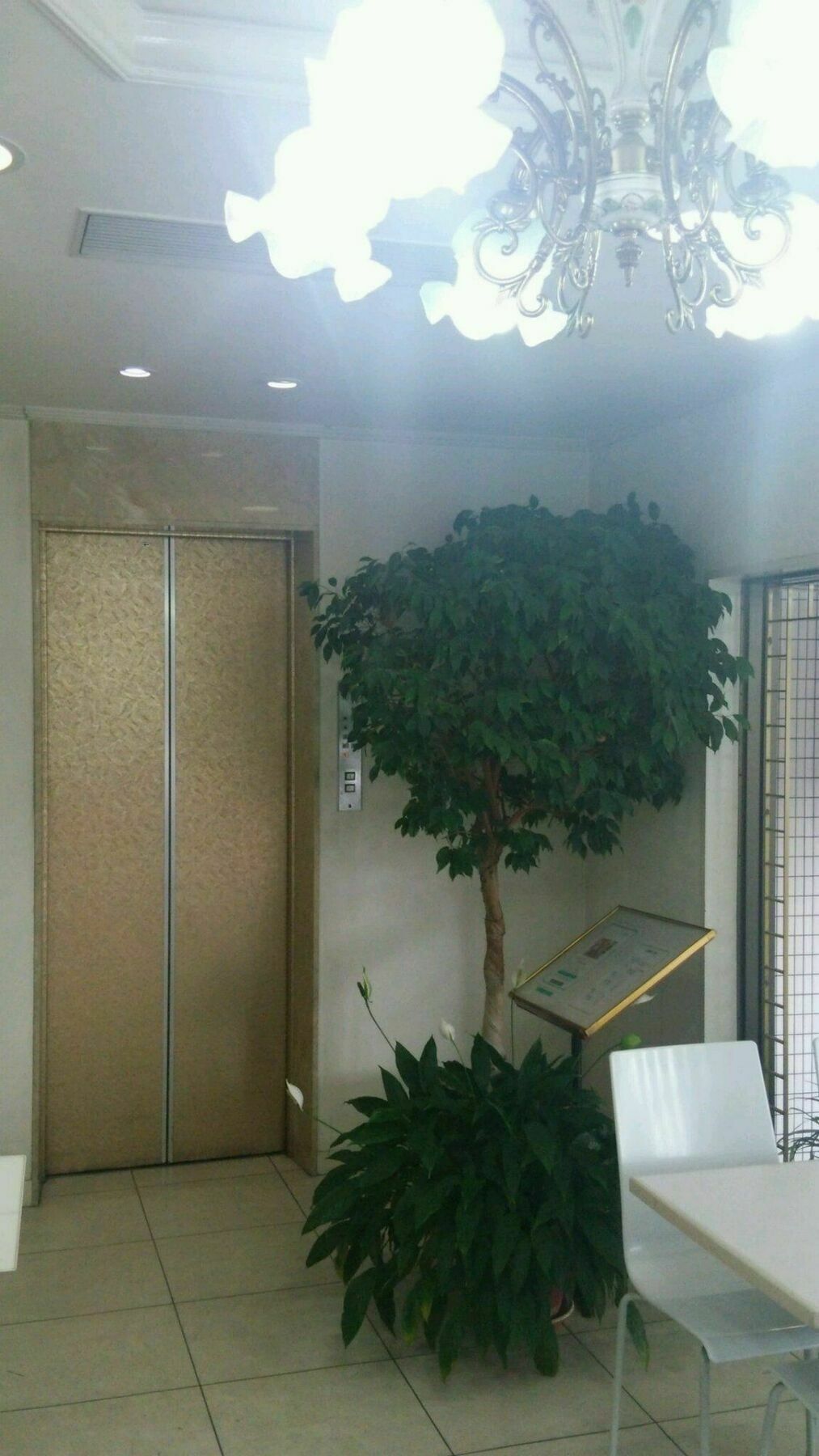 Hiroshima Rich Hotel Extérieur photo